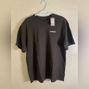 Patagonia Men's Brown Fitz Roy Horizons Responsibili-Tee size XL